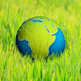 Can Africa Feed the World?