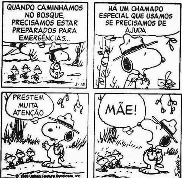 Tirinha de Snoopy sobre preparação para emergências