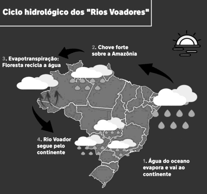 Infografico do ciclo hidrologico dos rios voadores sobre o mapa do Brasil, com quatro etapas numeradas