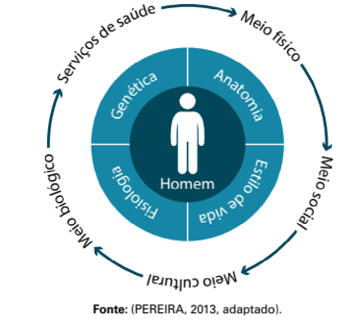 Figura da questão — Epidemiologia e Saúde Coletiva