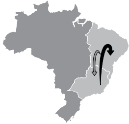 Mapa de migração interna no Brasil