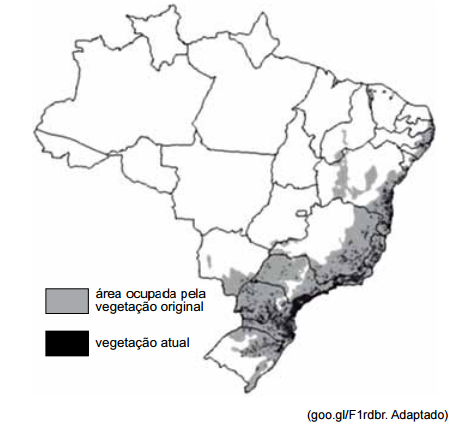 Mapa vegetação original e atual