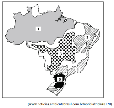 Mapa do Brasil com biomas destacados