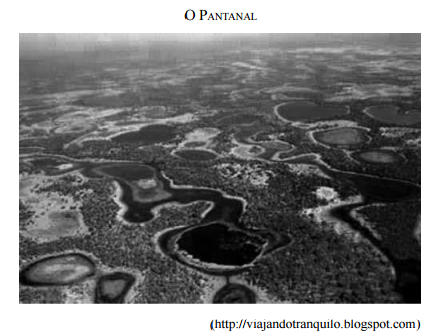 Imagem do Pantanal