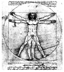 Homem Vitruviano de Leonardo da Vinci