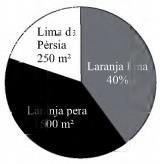 Gráfico laranja lima
