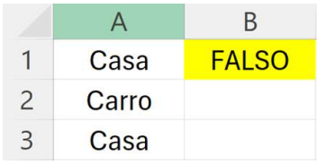 Planilha Excel com Casa, Carro e resultado FALSO
