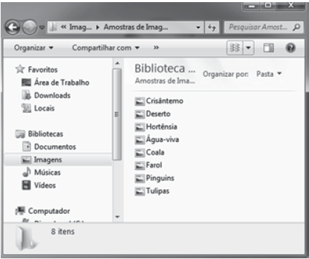 Windows Explorer - Imagens em Lista - MS-Windows 7