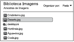 Biblioteca de Imagens do Windows 7