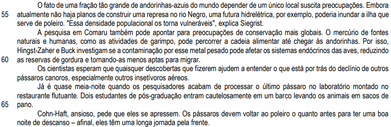 Andorinhas Amazônia 3