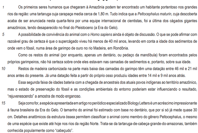 Texto associado imagem 1